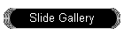 Slide Gallery