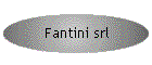 Fantini srl