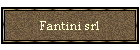 Fantini srl