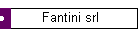 Fantini srl