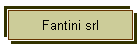 Fantini srl