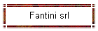 Fantini srl