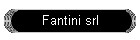 Fantini srl