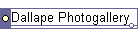 Dallape Photogallery